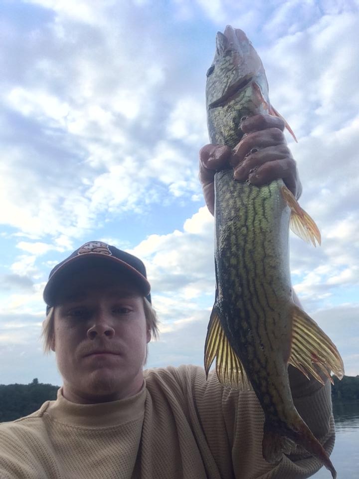 Pickerel