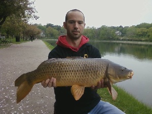 carpmaster