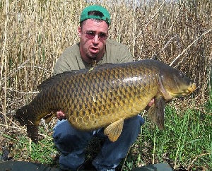 carpy