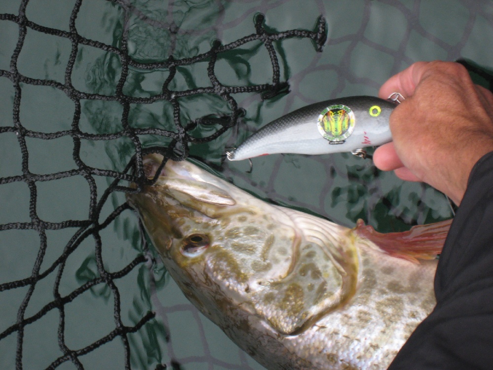 Rainier fishing photo 1