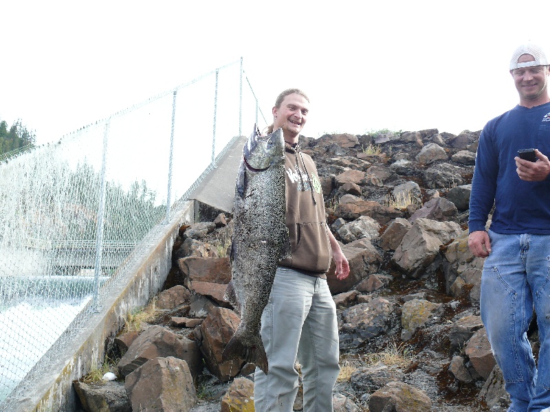 Salmon near Grants Pass