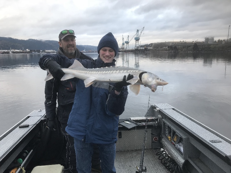 My First White Sturgeon near Troutdale