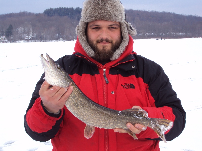 Northern Pike